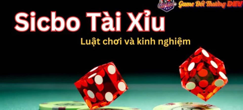 Quy luật Sicbo chung đang tồn tại trước mỗi ván cược